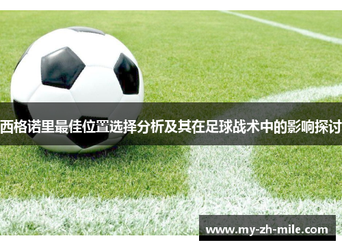 西格诺里最佳位置选择分析及其在足球战术中的影响探讨 西格诺里最佳位置选择分析及其在足球战术中的影响探讨
