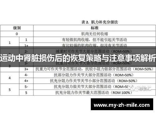 运动中肾脏损伤后的恢复策略与注意事项解析 运动中肾脏损伤后的恢复策略与注意事项解析