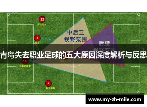青岛失去职业足球的五大原因深度解析与反思 青岛失去职业足球的五大原因深度解析与反思
