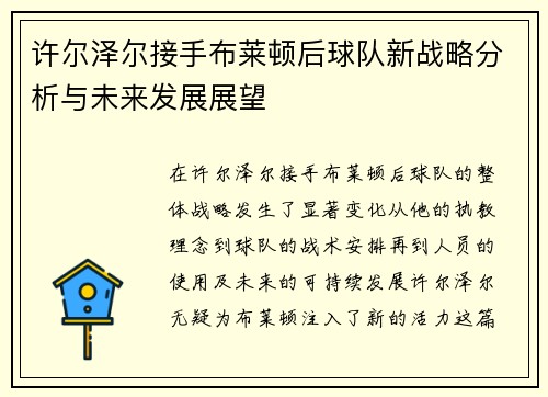 许尔泽尔接手布莱顿后球队新战略分析与未来发展展望